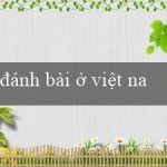 đánh bài ở việt nam(Chơi trò chơi xóc đĩa trực tuyến ngay tại nhà!)