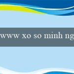 www xo so minh ngoc com vn(Dò số miền nam với kết quả mới nhất)