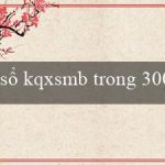 sổ kqxsmb trong 300 ngày(Kết quả xổ số Miền Nam hôm nay)