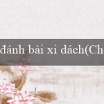 đánh bài xi dách(Chơi xóc đĩa trực tuyến ngay tại nhà cái uy tín)