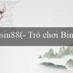 sin88(- Trò chơi Bingo Sành Điệu)