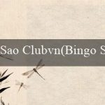 Sao Clubvn(Bingo Sành Điệu)