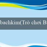 bachkim(Trò chơi Bingo Độc Đáo và Sôi Động)