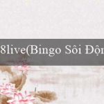 8live(Bingo Sôi Động)