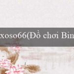 xoso66(Đồ chơi Bingo sôi động)