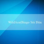 WildAce(Bingo Sôi Động – Trò Chơi Bingo Vui Vẻ)