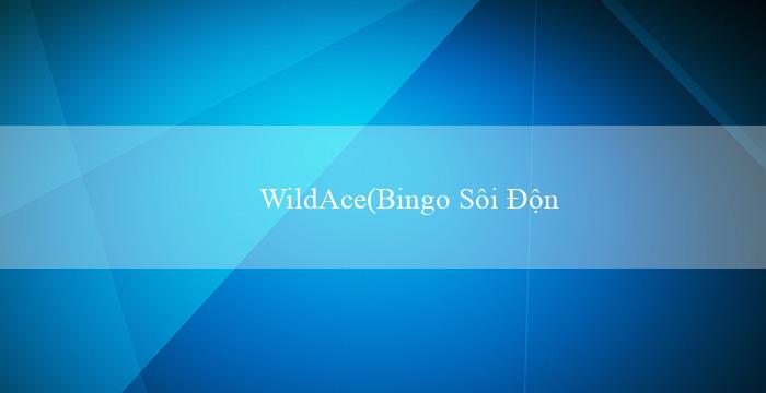 WildAce(Bingo Sôi Động – Trò Chơi Bingo Vui Vẻ)