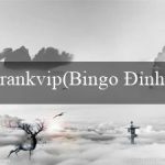 rankvip(Bingo Đỉnh cao với âm nhạc sôi động)