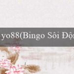 yo88(Bingo Sôi Động)