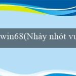 win68(Nhảy nhót vui vẻ cùng Bingo)