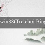 win88(Trò chơi Bingo sôi động)