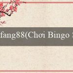 fang88(Chơi Bingo Sôi Động)