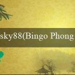 sky88(Bingo Phong Cách và Cuồng Nhiệt)