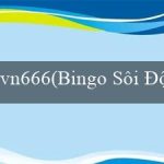 vn666(Bingo Sôi Động)