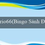 rio66(Bingo Sành Điệu)