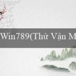 Win789(Thử Vận May với Trò Chơi Bingo Vui Nhộn)