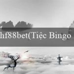 hf88bet(Tiệc Bingo Sôi Động)