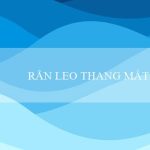 RÅN LEO THANG MẮT RẮN(Trò chơi Bingo Sôi Động)