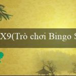 X9(Trò chơi Bingo Sôi Động)