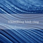 TX66(Đồng hành cùng Bingo vui vẻ)