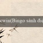 cwin(Bingo sành điệu với âm nhạc và vũ đạo)