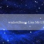 winlott(Bingo Làm Mê Ly)