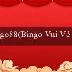 go88(Bingo Vui Vẻ – Trò chơi Bingo thú vị và sôi động)