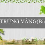 TRỨNG VÀNG(Bingo Siêu Vui – Trải nghiệm Đặc Biệt)