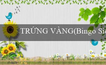 TRỨNG VÀNG(Bingo Siêu Vui – Trải nghiệm Đặc Biệt)