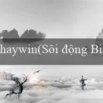 haywin(Sôi động Bingo – Trò chơi dân gian hấp dẫn)