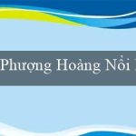 Phượng Hoàng Nổi Dậy(Trò chơi Bingo Sôi Động)