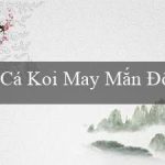 Cá Koi May Mắn Độc Quyền(Xì bàng lô sành điệu)