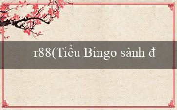 r88(Tiểu Bingo sành điệu)