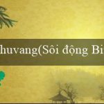 huvang(Sôi động Bingo – Trò chơi Bingo mới và hấp dẫn)