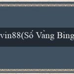 vin88(Số Vàng Bingo – Trò chơi Bingo Hùm Lău)