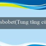 sbobet(Tung tăng cùng Trò chơi Bingo điên đảo)