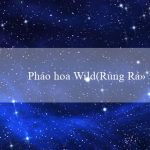 Pháo hoa Wild(Rủng Rỉnh Bingo Trò Chơi Bingo Hấp Dẫn mới mẻ)