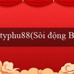 typhu88(Sôi động Bingo – Trò chơi Bingo vui nhộn)