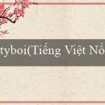 tyboi(Tiếng Việt Nổi Bật Bingo)