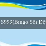 S999(Bingo Sôi Động)