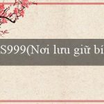 S999(Nơi lưu giữ bí mật của Maya)