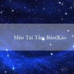 Mèo Tài Tầm Bảo(Kỳ quan của Maya Thành phố vàng)