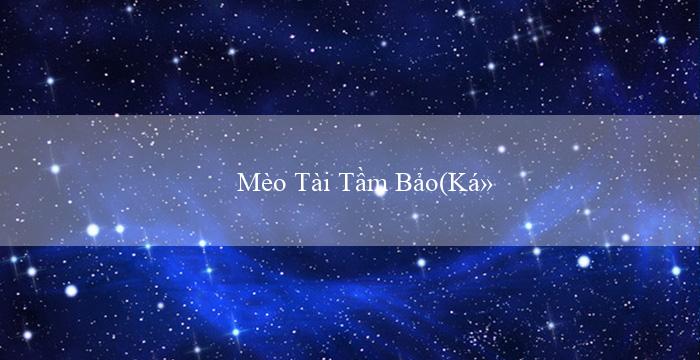 Mèo Tài Tầm Bảo(Kỳ quan của Maya Thành phố vàng)