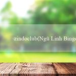 zindoclub(Ngũ Linh Bingo Trò chơi vui nhộn mới lạ)