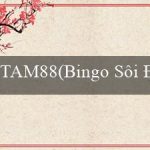 TAM88(Bingo Sôi Động)