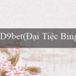 D9bet(Đại Tiệc Bingo Sôi Động)