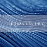 THỢ SĂN TIỀN THƯỞNG(Nhà cái Vo88 Đánh bại may mắn, thuận lợi của bạn)