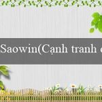 Saowin(Cạnh tranh dành giải thưởng tiền)