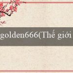 golden666(Thế giới cá cược trực tuyến Vo88)