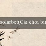 solarbet(Cái chơi bingo độc đáo và sáng tạo)